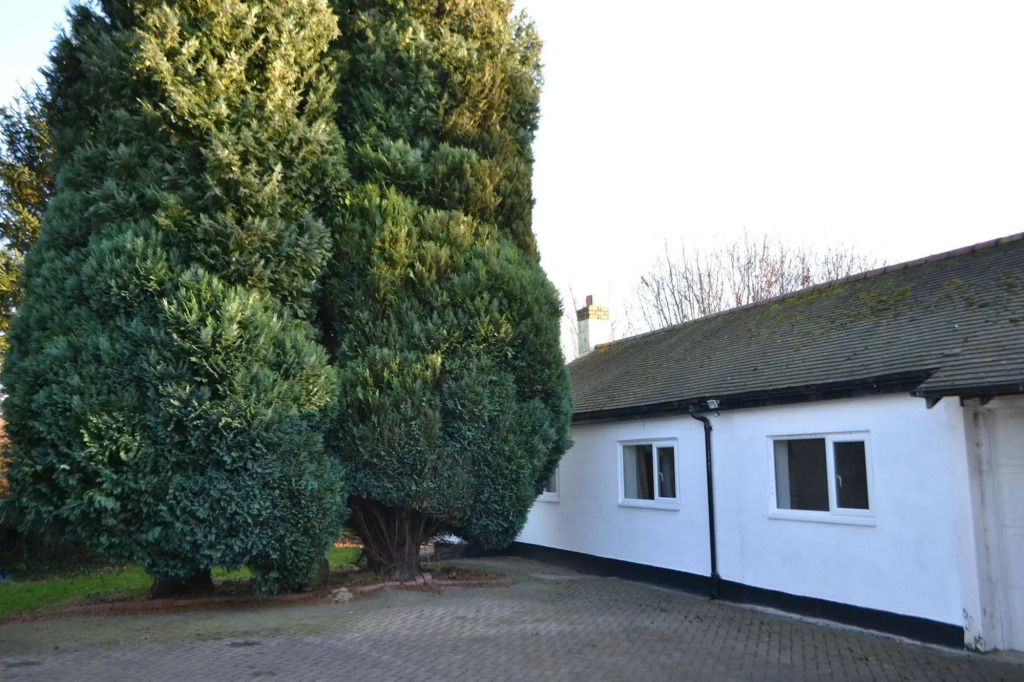The Lodge Hale Village