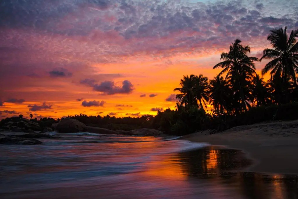 Sarada Beach Resort Yala