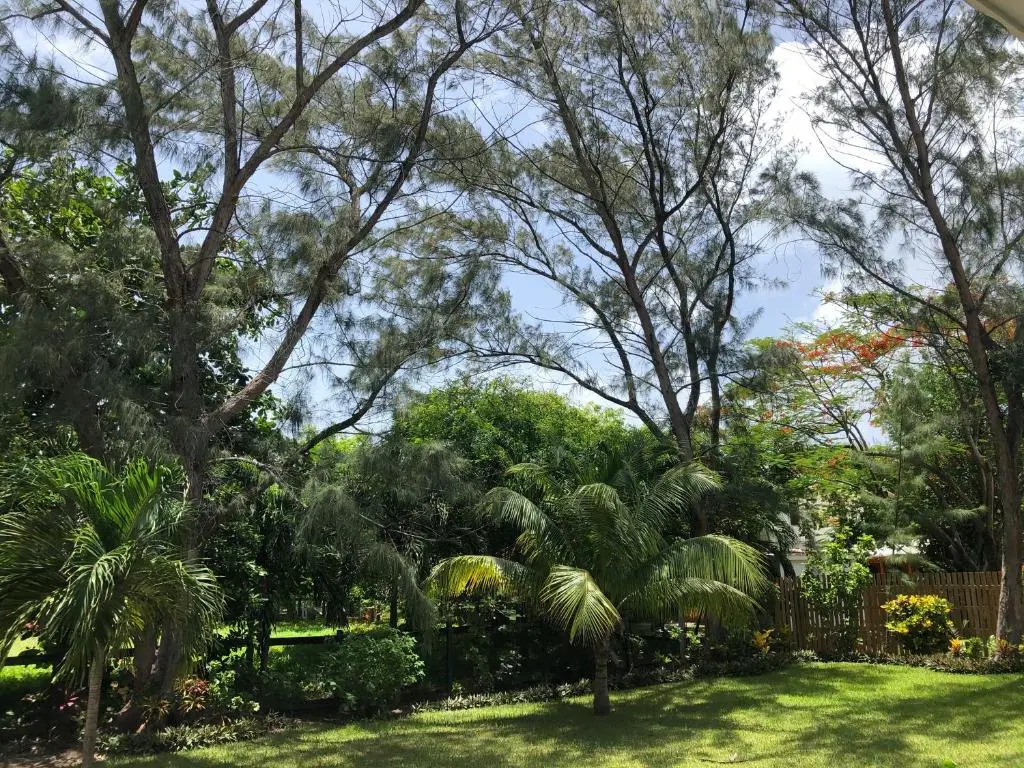 Belize Budget Suites
