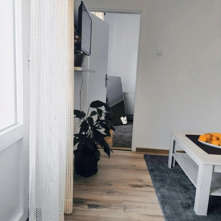 Apartman Dučić