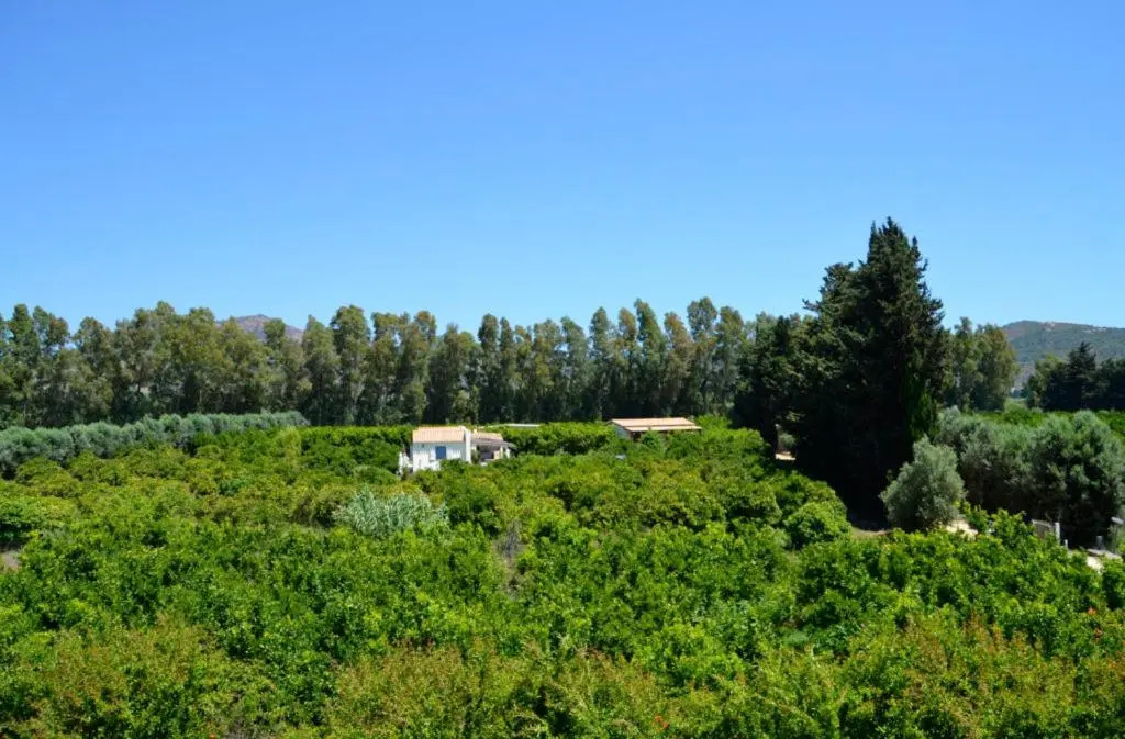 Luna&Limoni Country