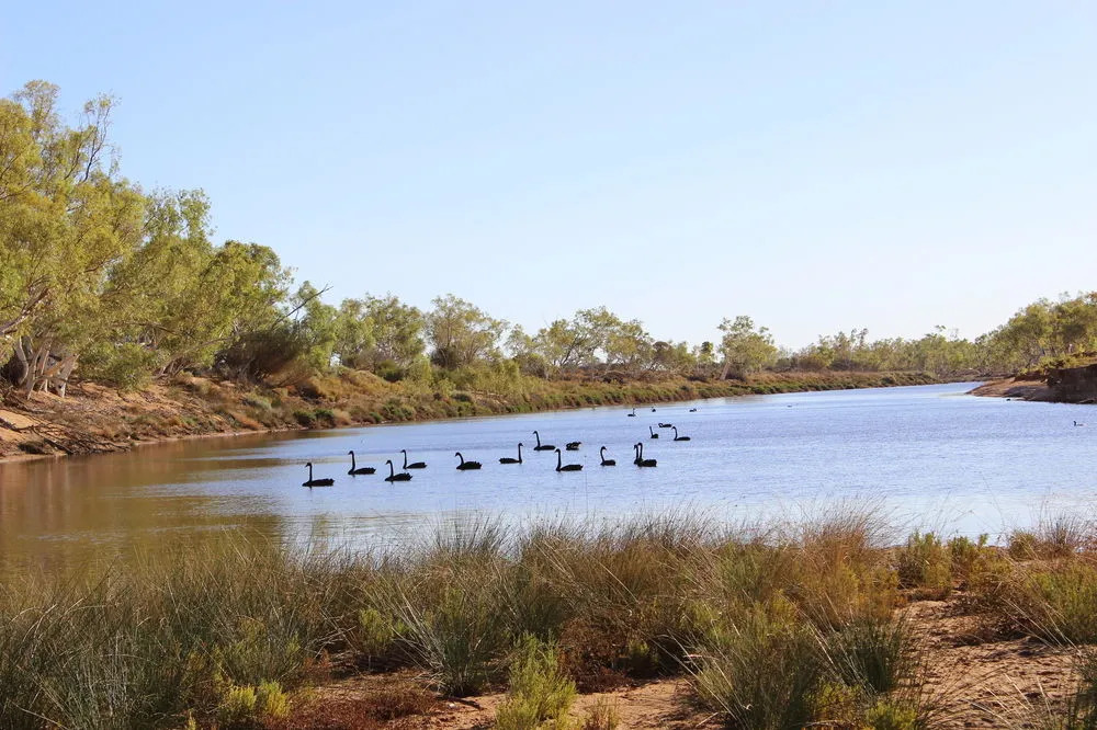 Wooleen Station