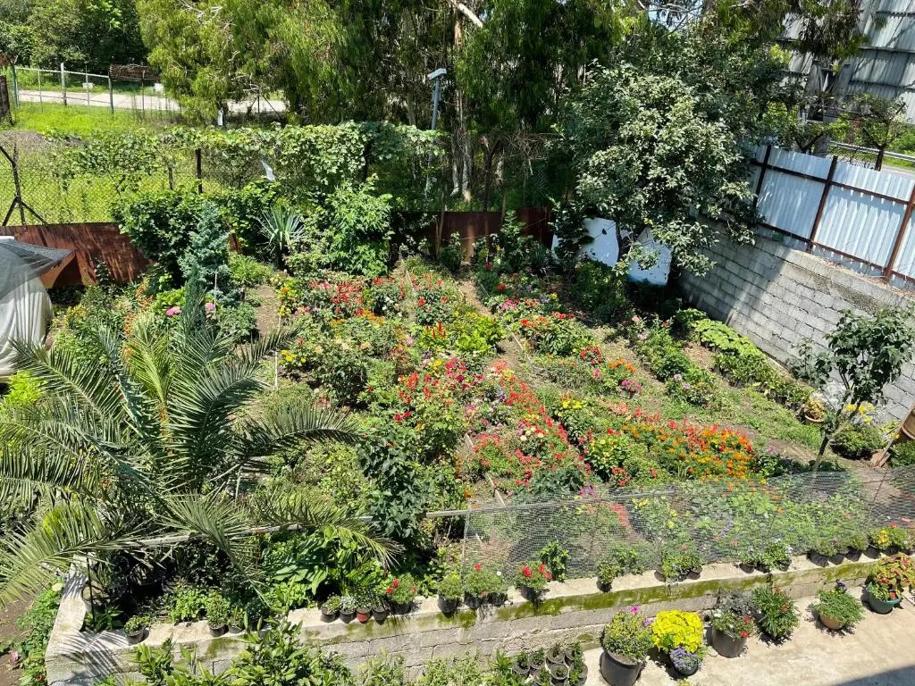 Guest House Passiflora პასიფლორა