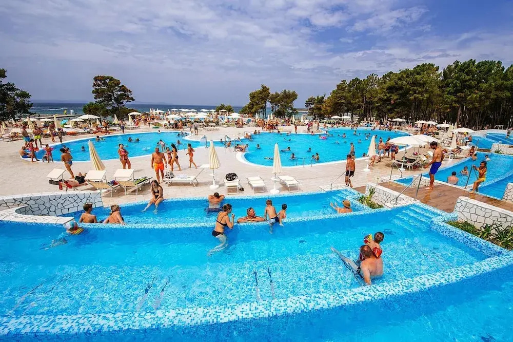 Apartments in Zaton With Pool