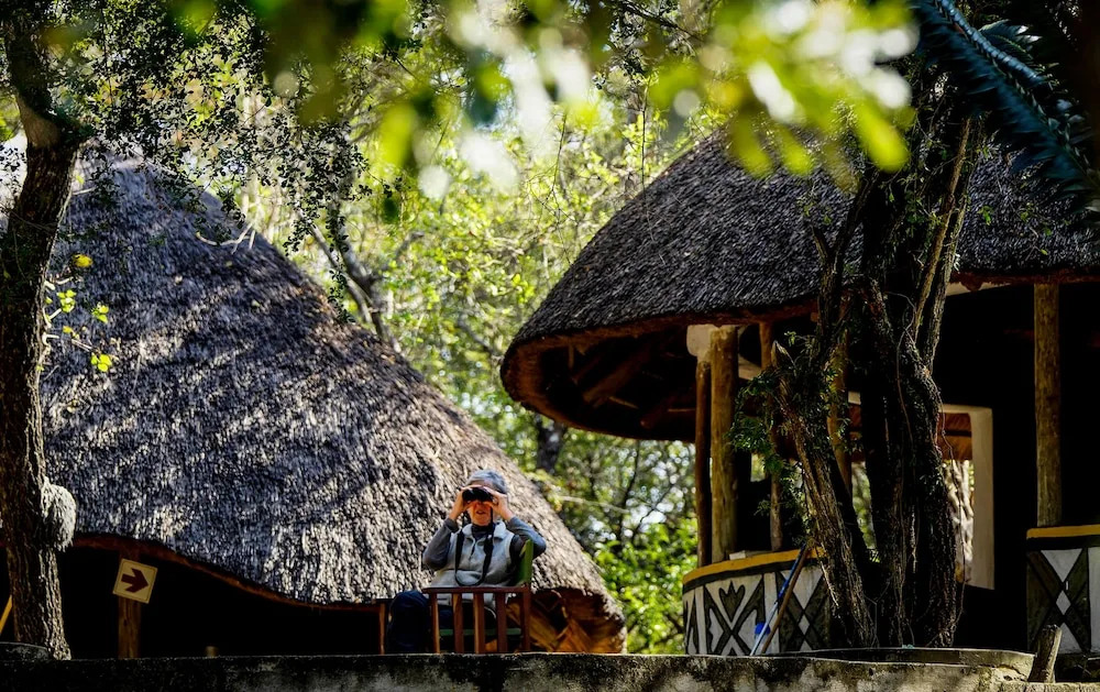 Modjadji Camp