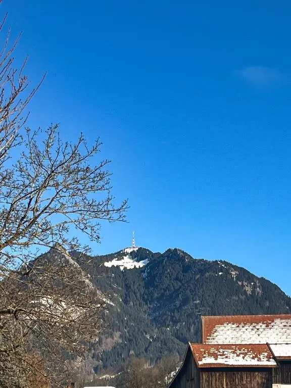 Das goldene Haus