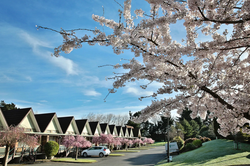 Ascot Park Hotel
