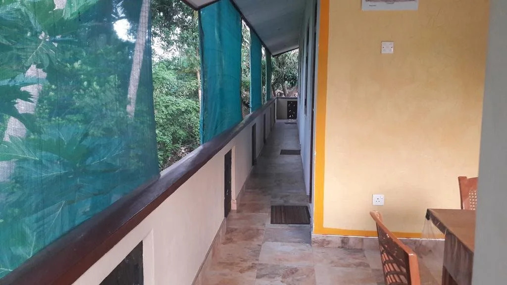 Wild View Stay