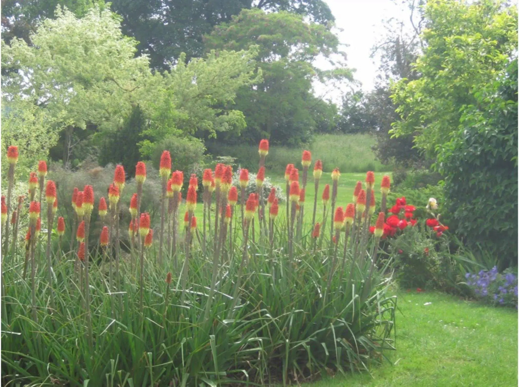 Earsham Park Farm