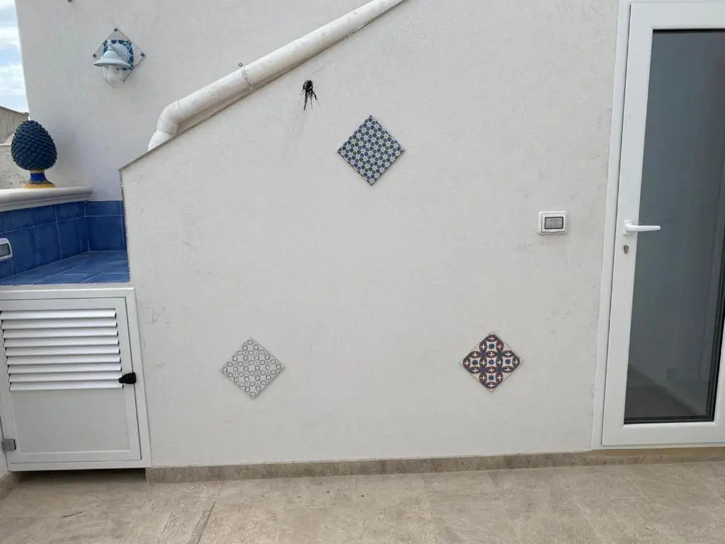 Il Corallo