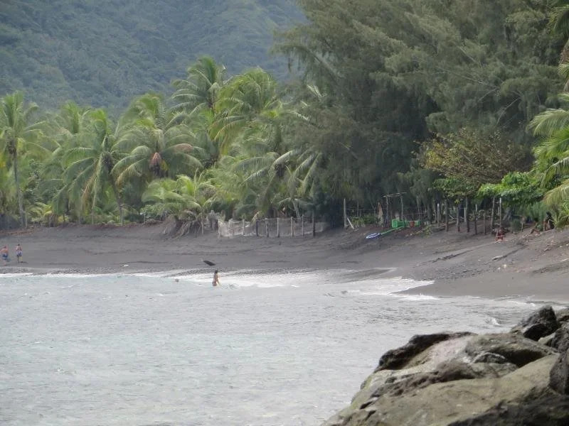 Taharuu Surf Lodge