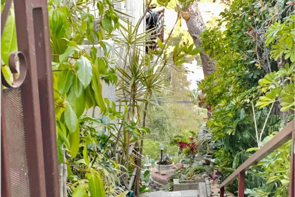 Secret Stairs Apt Hollywood Hills