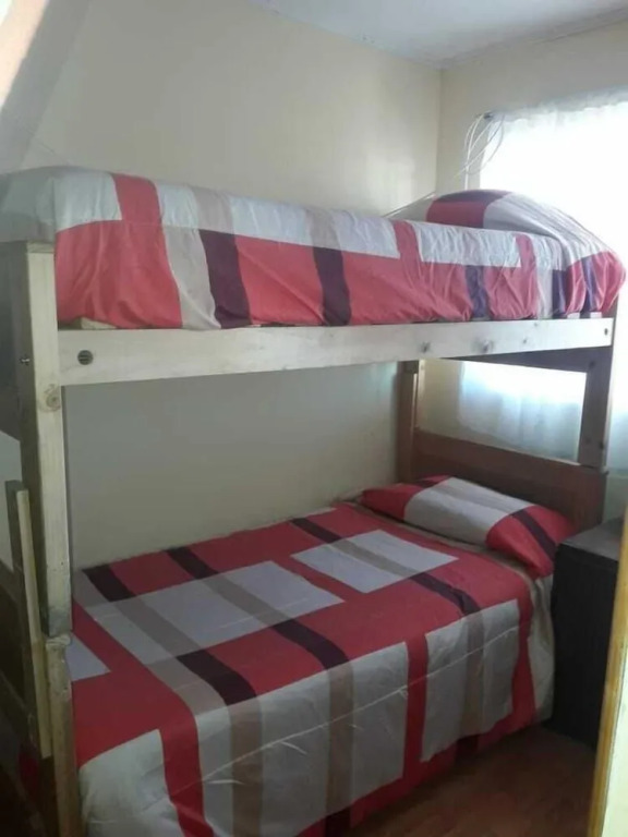 Hostel Cactus