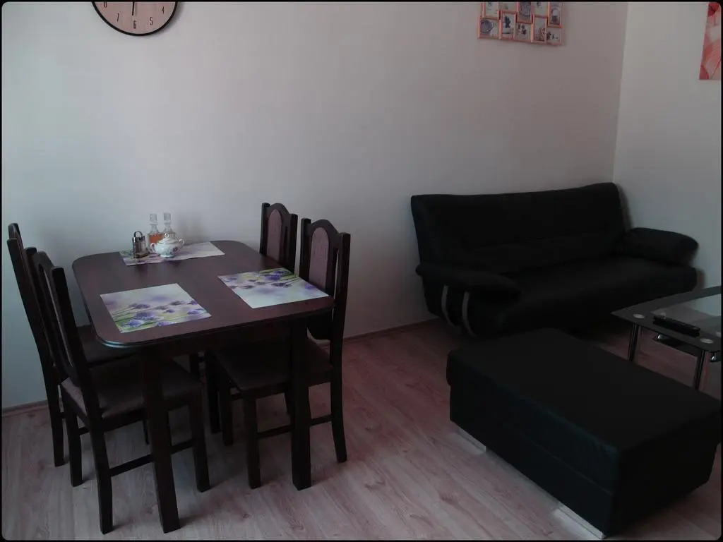 Apartment Krále Jiřího