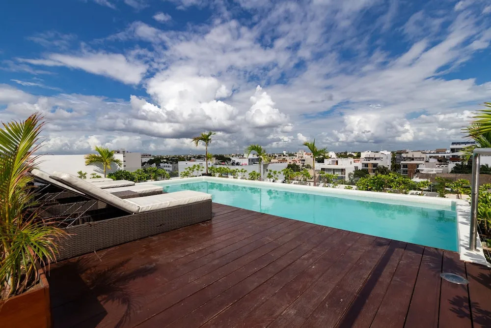 Areca 201 by CocoBR