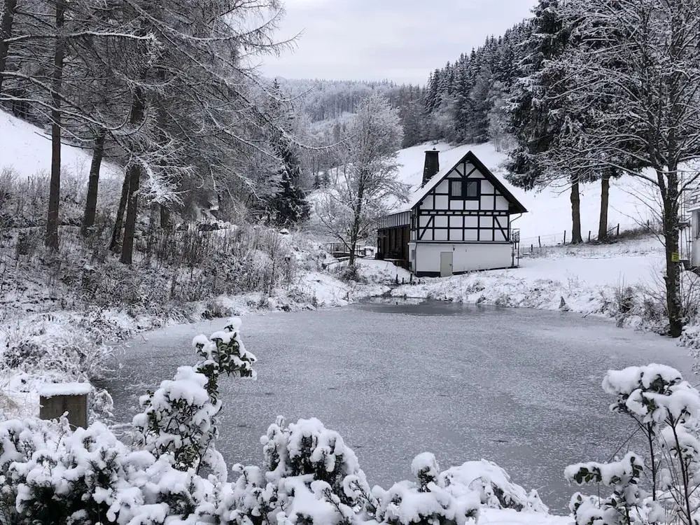 Ruckzugsort am Teich in Winterberg