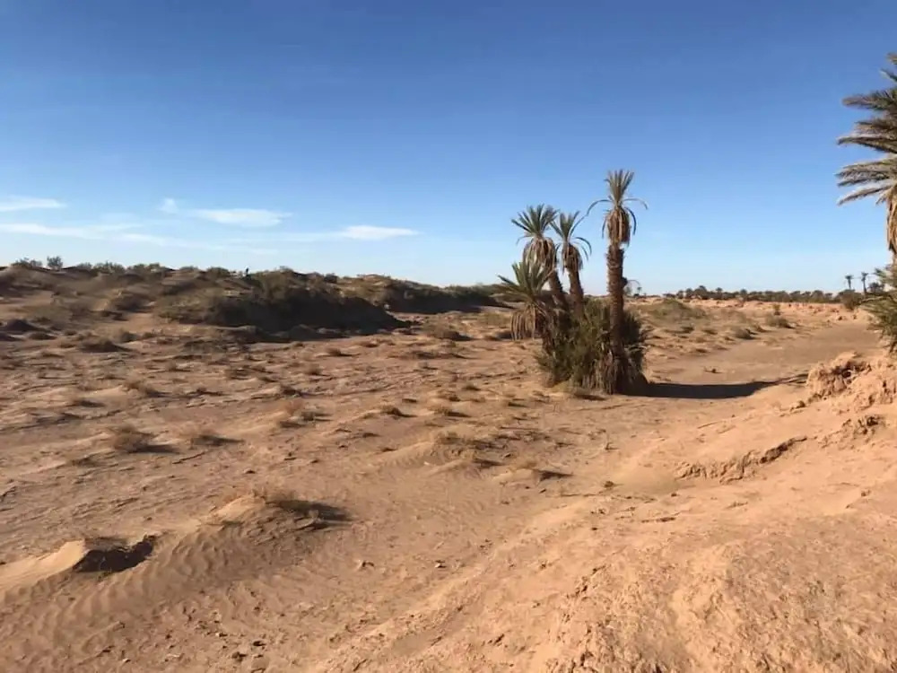 Bivouac Joudour Sahara