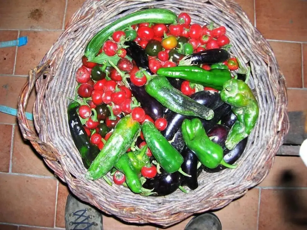 Azienda Agrituristica La Canestra