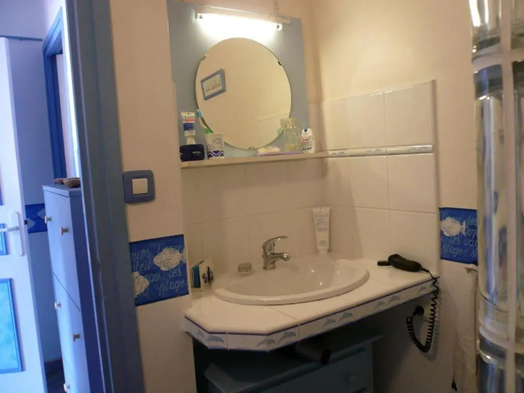 Appartement Le Palais, 2 pièces, 4 personnes - FR-1-418-102