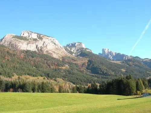 Kachelofenwohnung Pölzleitner