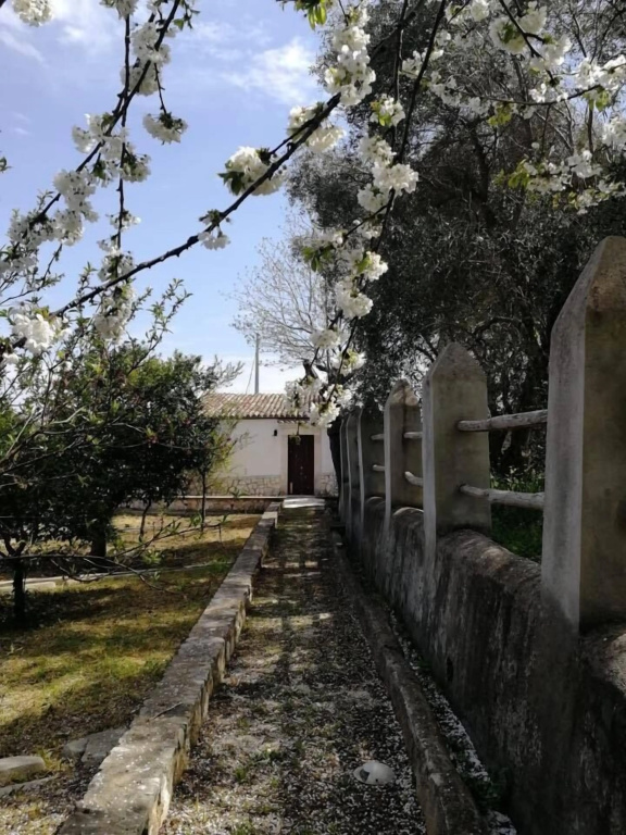 I Frangiventi B&B