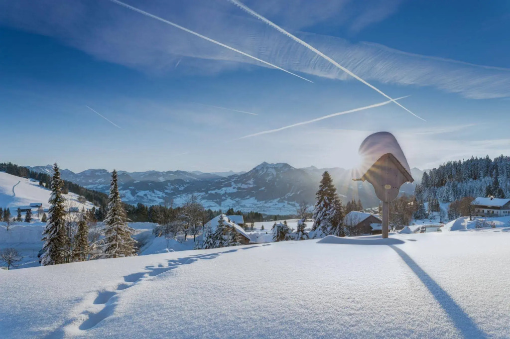 Bödele Alpenhotel
