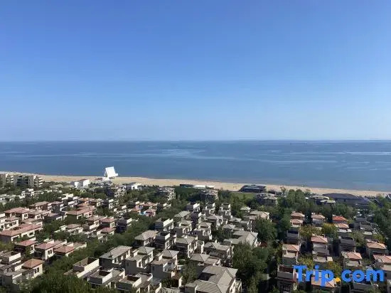 Sunny Sea - 180 Degrees Seaview Apartment