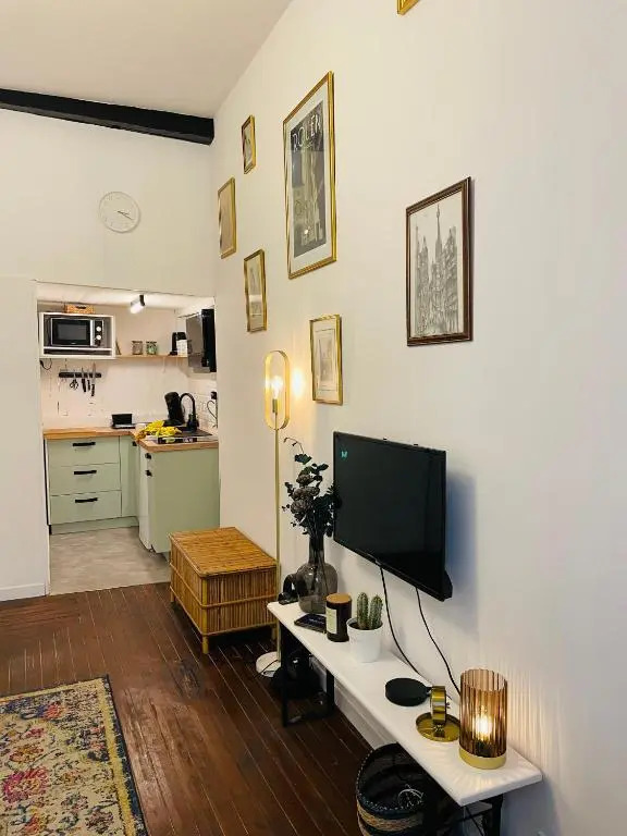 Appartement cosy en plein coeur historique