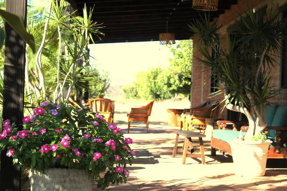Las Orquideas