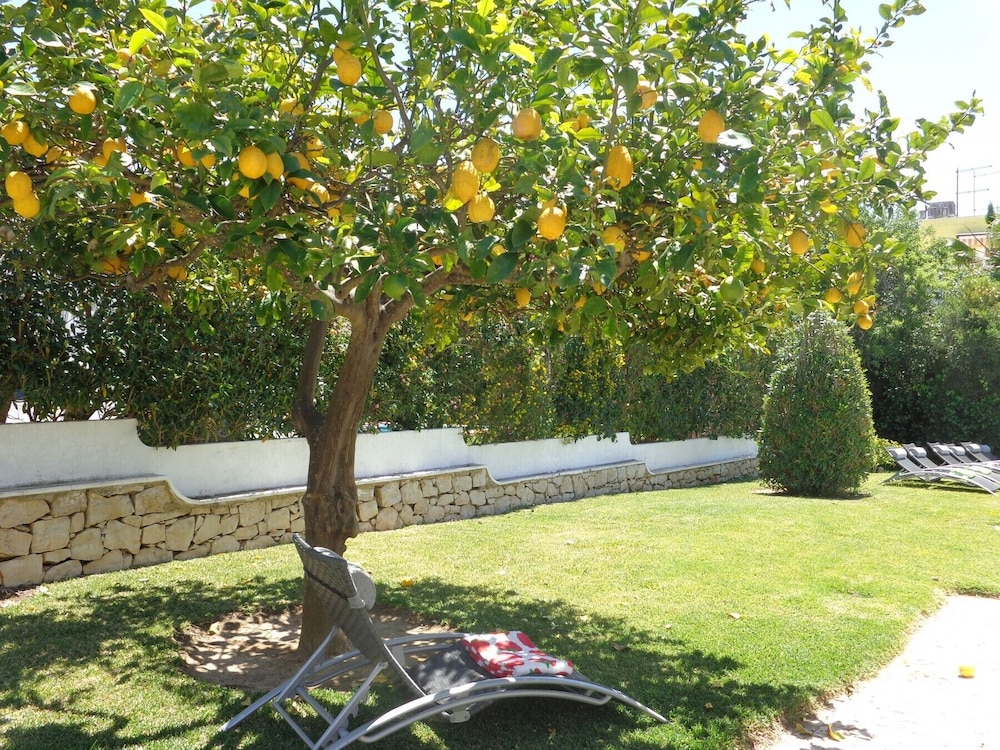 Strip - Private Pool - 12 Guests - Albufeira