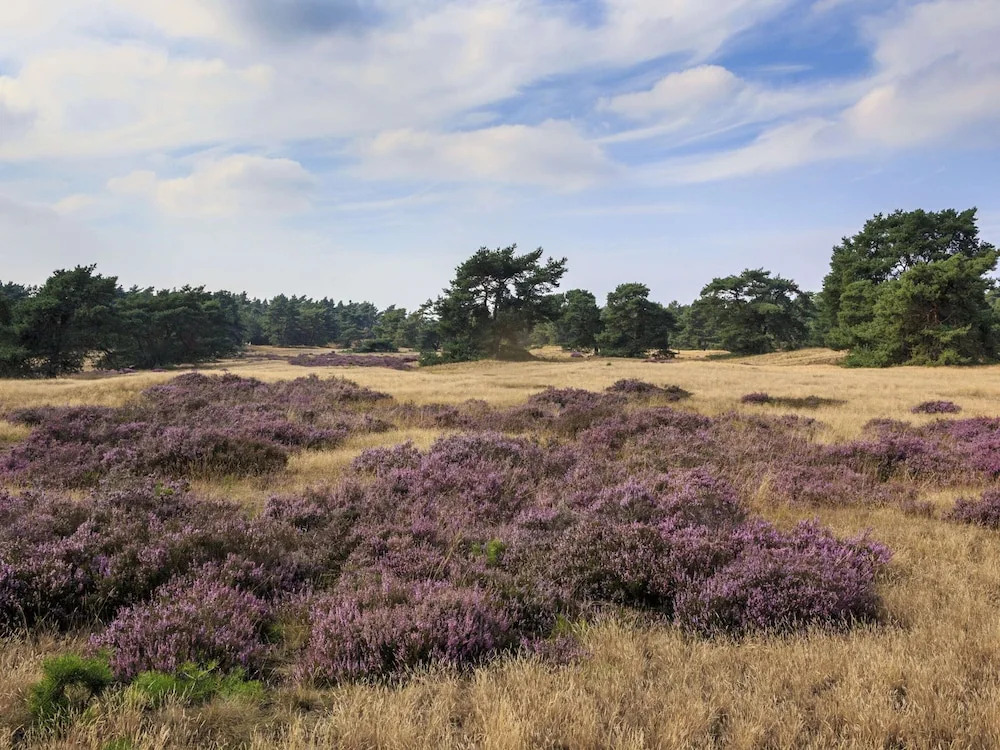 Striking Tent Lodge with Porch near Veluwe