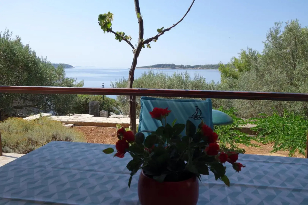 Apartmani Surjan