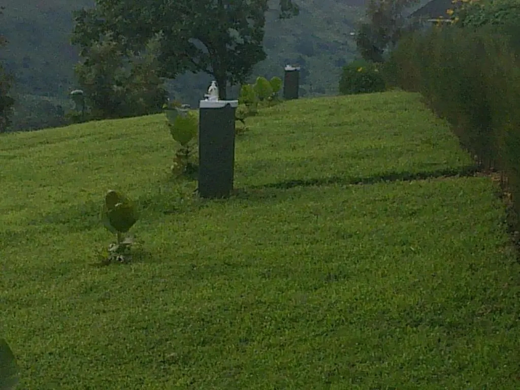The Crested Crane Bwindi Hotel
