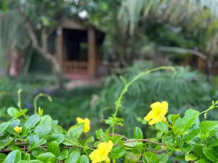 Bamboo Eco Village