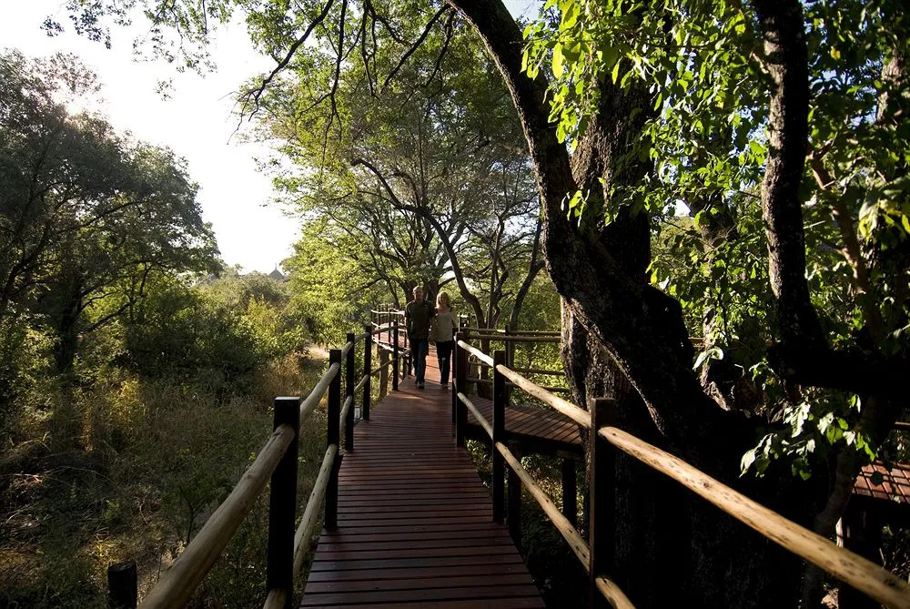 Sussi & Chuma Lodge, an A&K Sanctuary