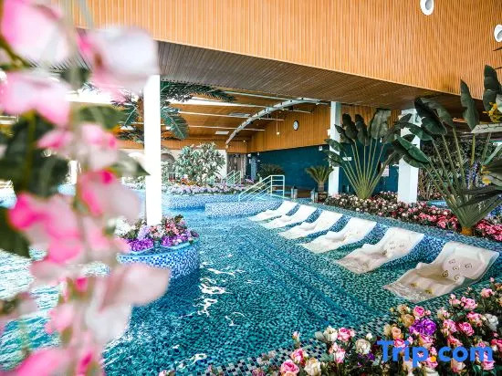 Blue Top Hot Spring Resort (Qinhuangdao Fira Resort)