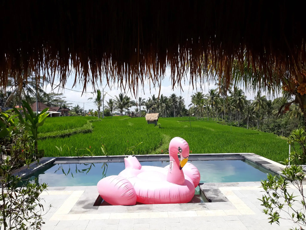 Dukuh Village Villas & Art