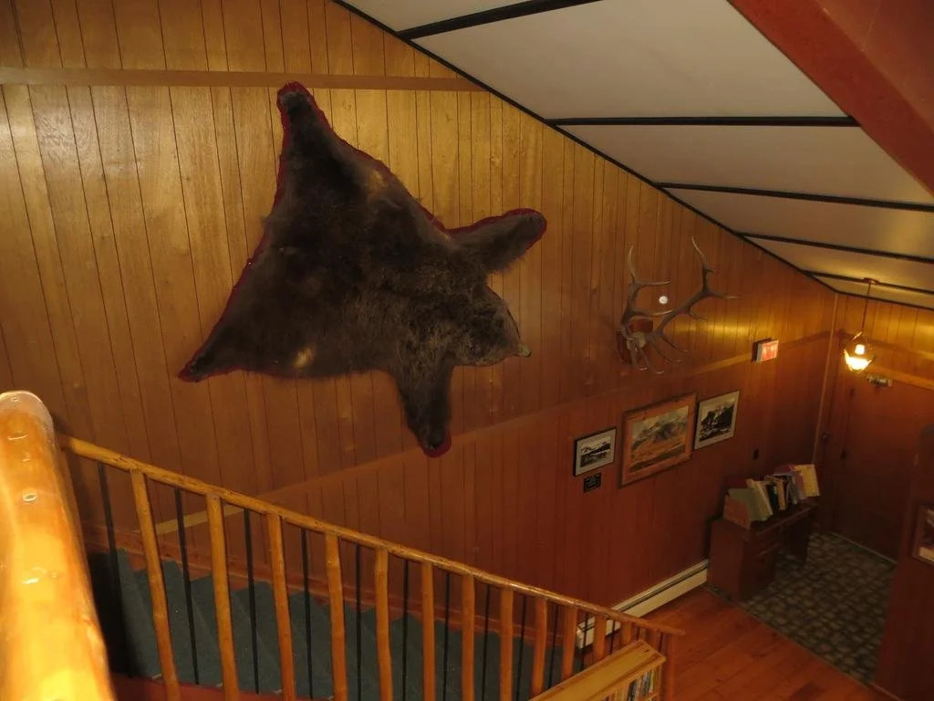 Black Cat Guest Ranch