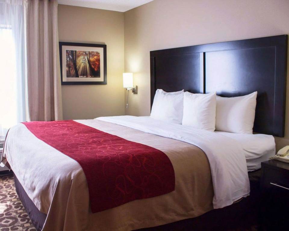Comfort Inn & Suites Trussville I-59 Exit 141