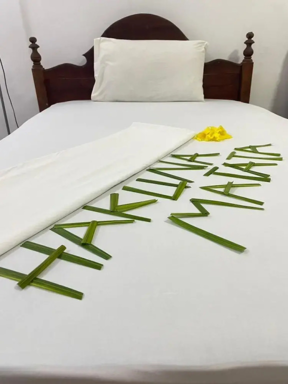 zanzllywood hotel and apartments