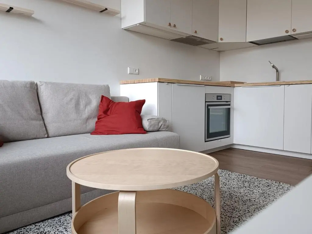 Stylish Studio in Central Vilnius