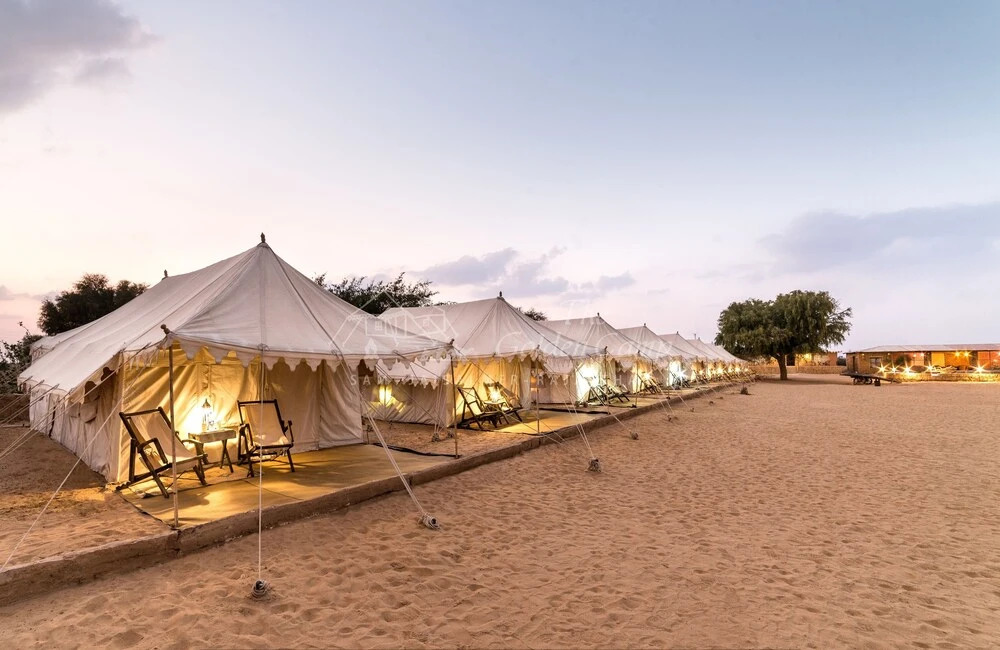 The Golden Camp