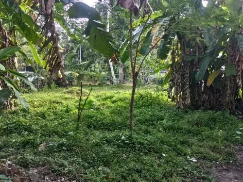 Sasmika Villa Surf and Yoga Hostel