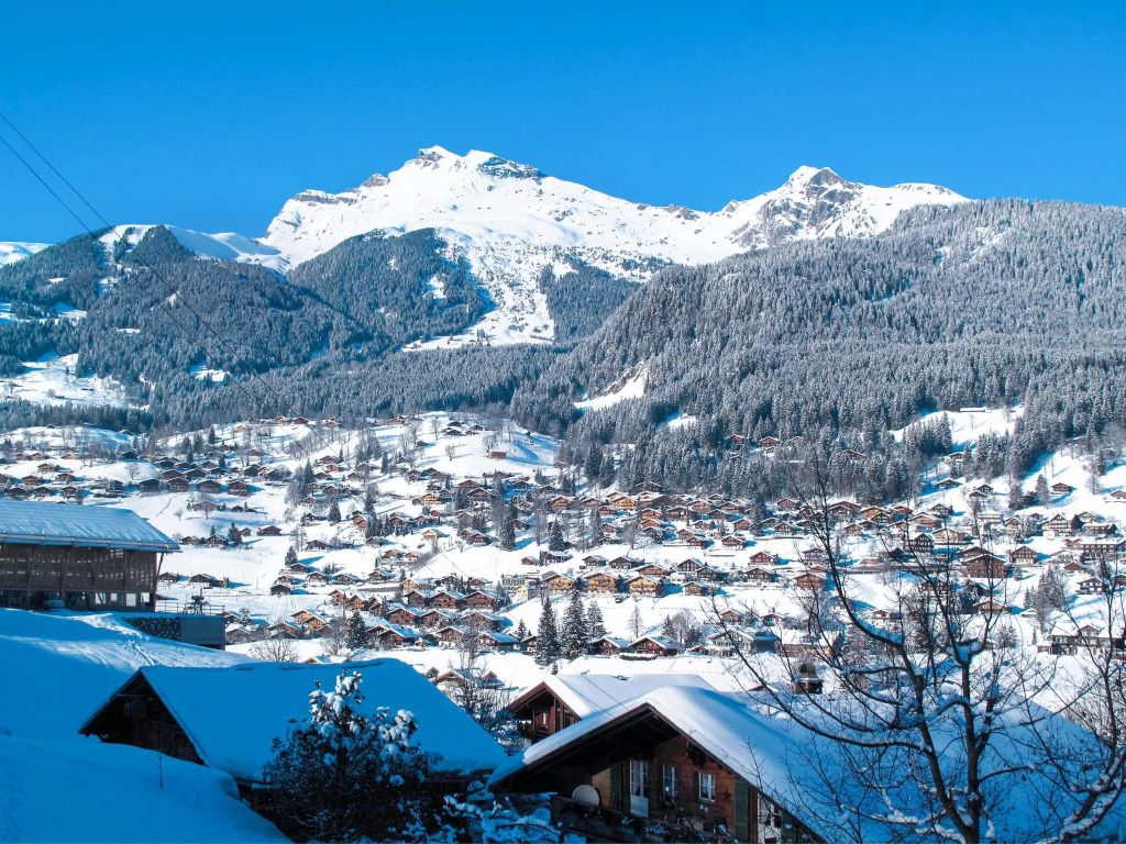 Chalet Snowflake