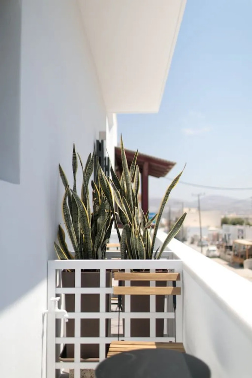 Vorta Naxos