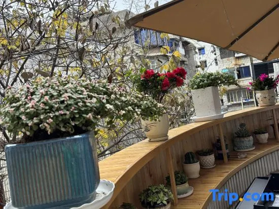 Snails Hostel