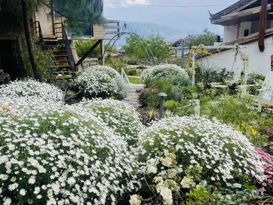 Shiwai Taoyuan Inn RV Camp(玉龙世外桃源客栈房车营地)