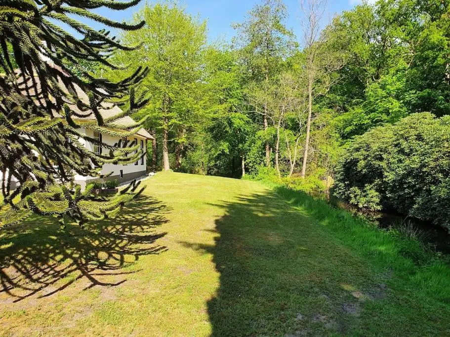 Midden in de Friese bossen op landgoed Princenhof