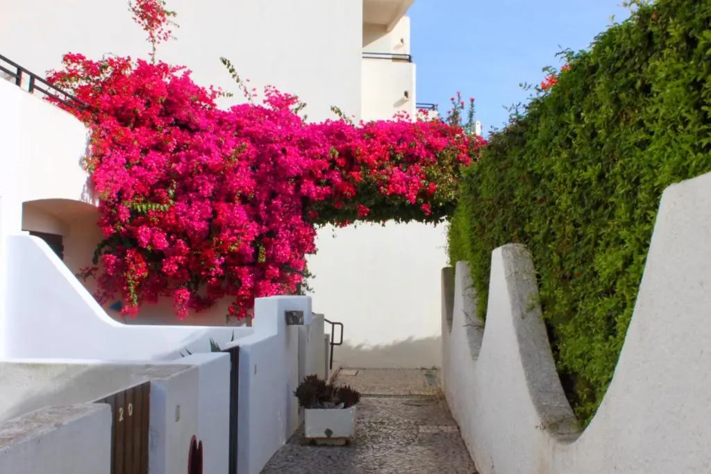 Cozy and Stylish Studio Apt just 800m from the beach - New on Booking!