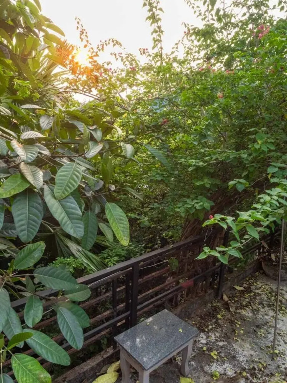 Green Home Homestay